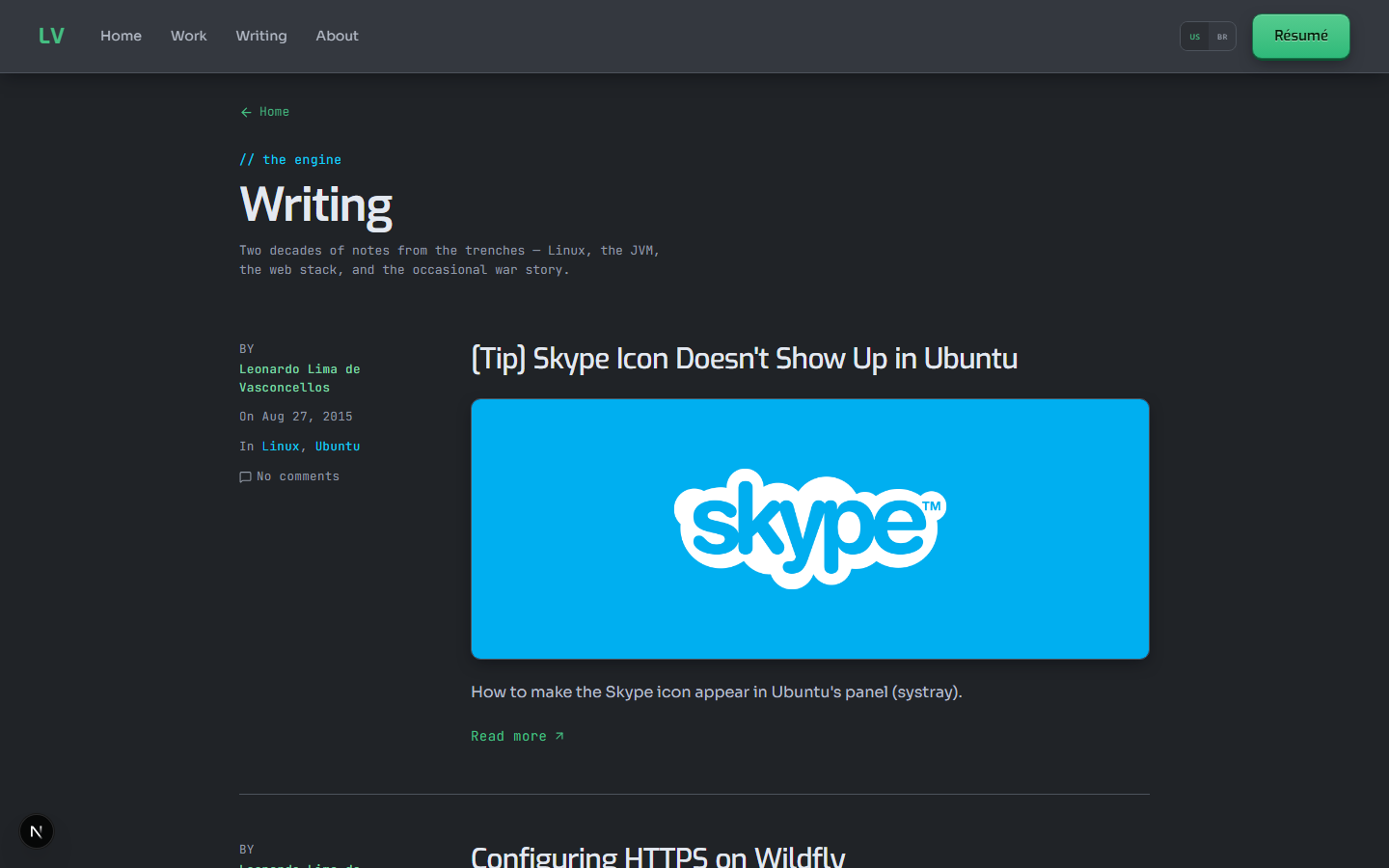 Leonardo Vasconcellos — Portfolio — screenshot 2