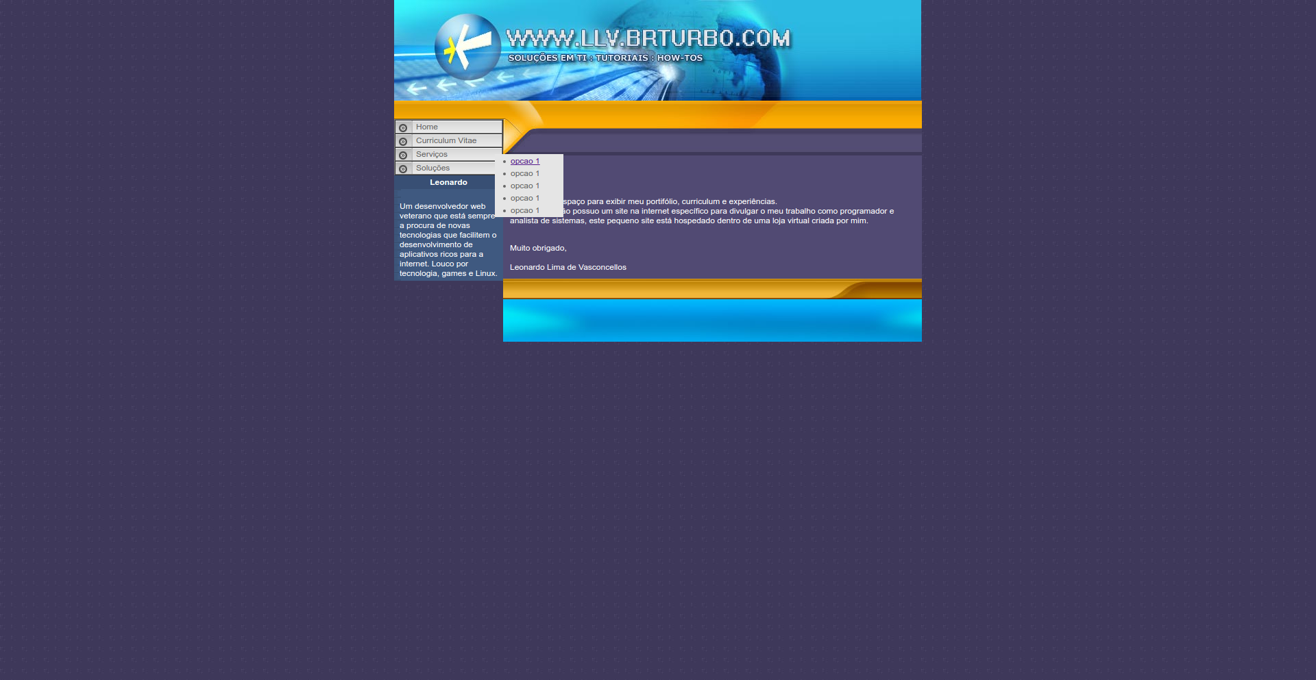 Leonardo Vasconcellos — Soluções em TI — screenshot 3